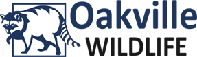 Oakvillewildlife